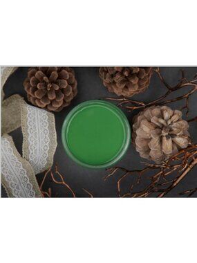 New Sealed Evergreen Dixie Belle Chalk Mineral Paint 8oz
